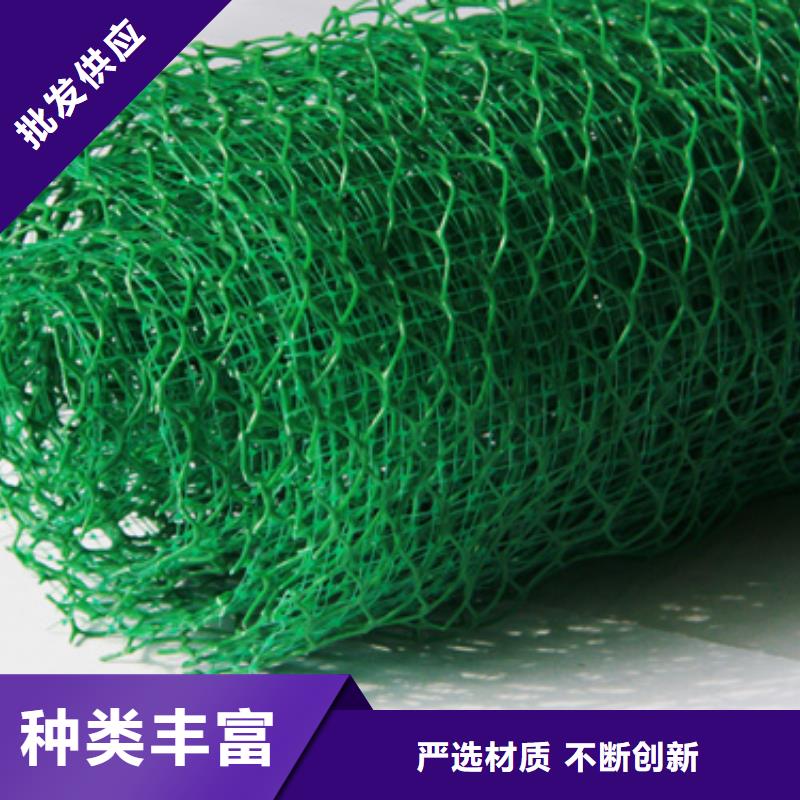 栖霞三维植被网择优厂家