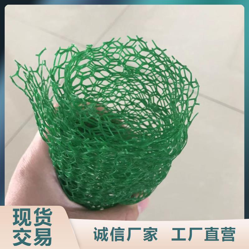 性价比高的三维植被网基地优选货源