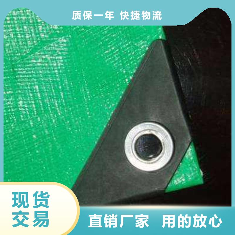 PE防雨布发货快品质高