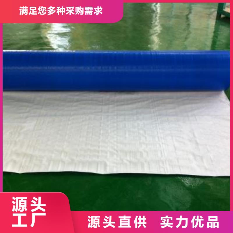 双绿色防雨布库存量大