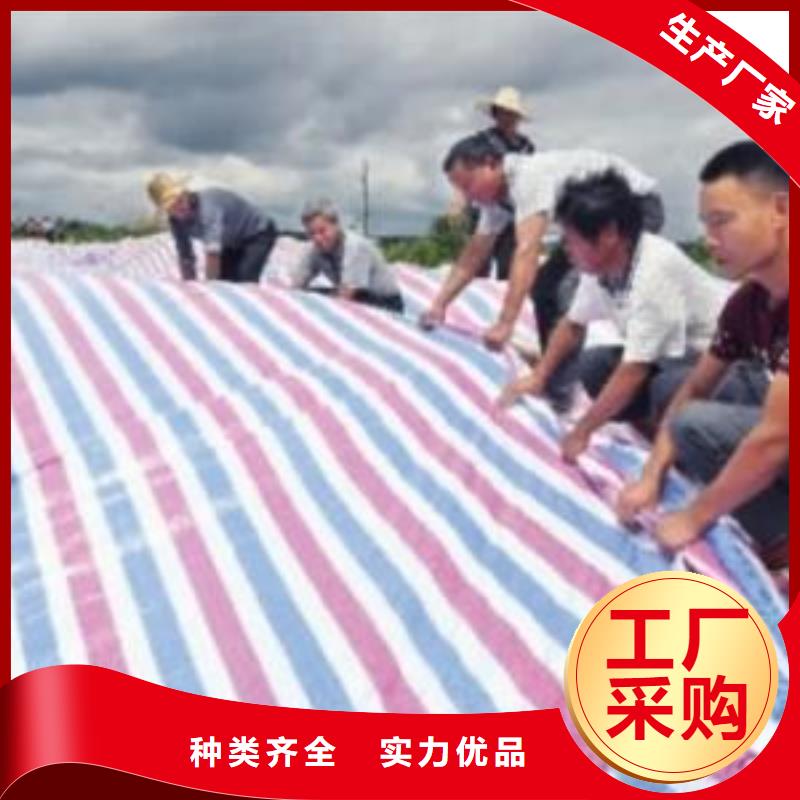 买双绿色防雨布必看-厂家直销