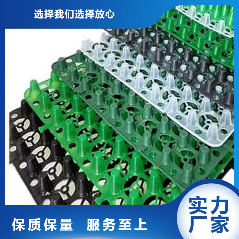 排水板系列在哪里买