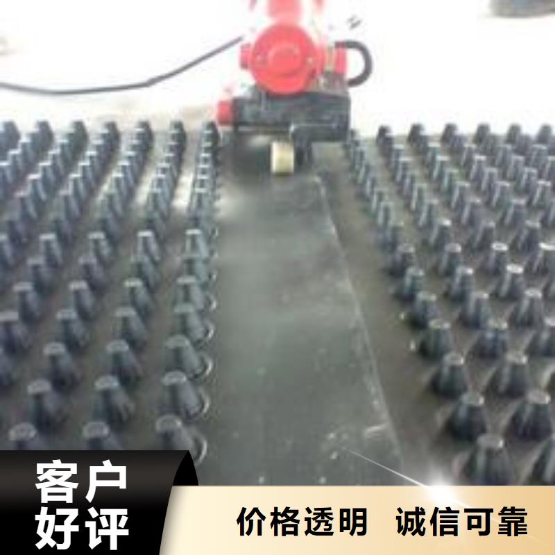 排水板系列-品质保障