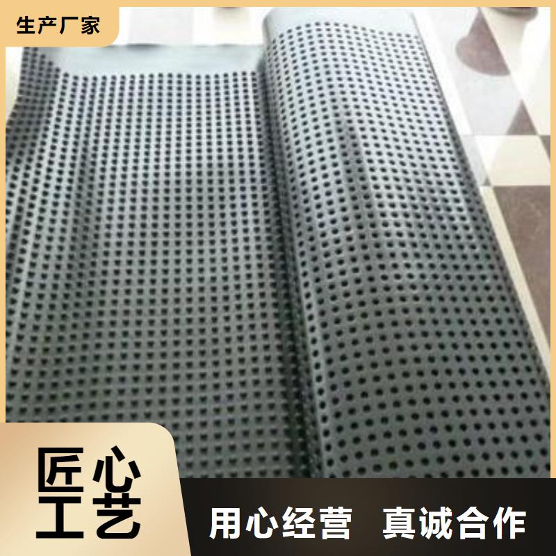 生产排水板系列质量可靠的厂家
