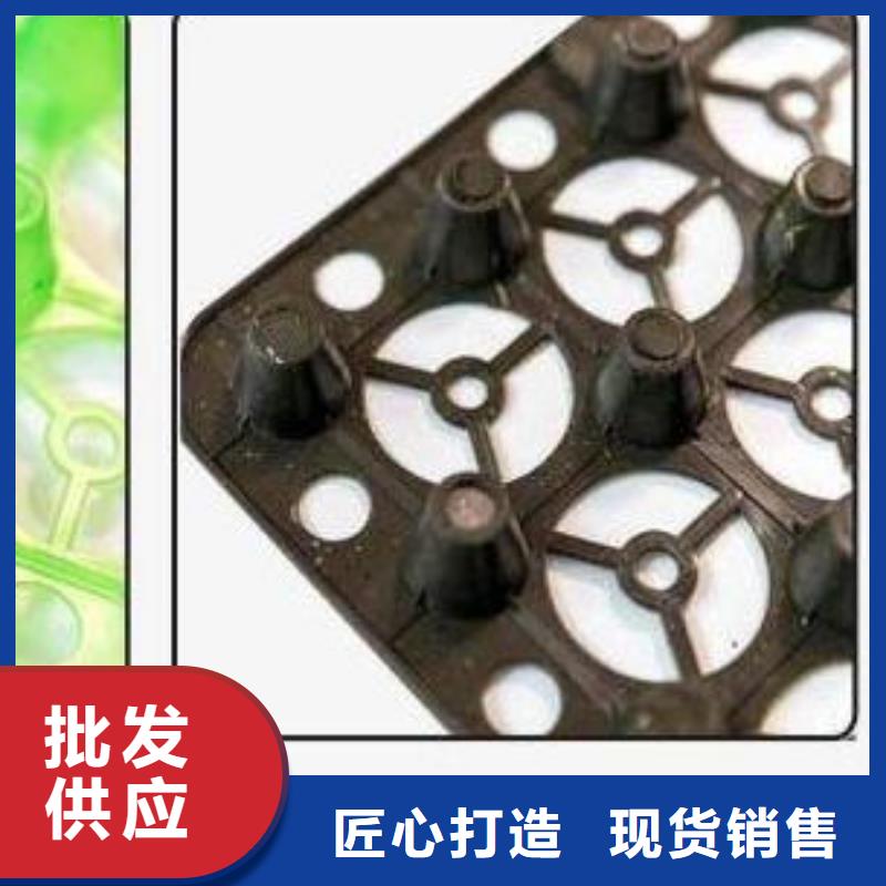 排水板系列、排水板系列生产厂家