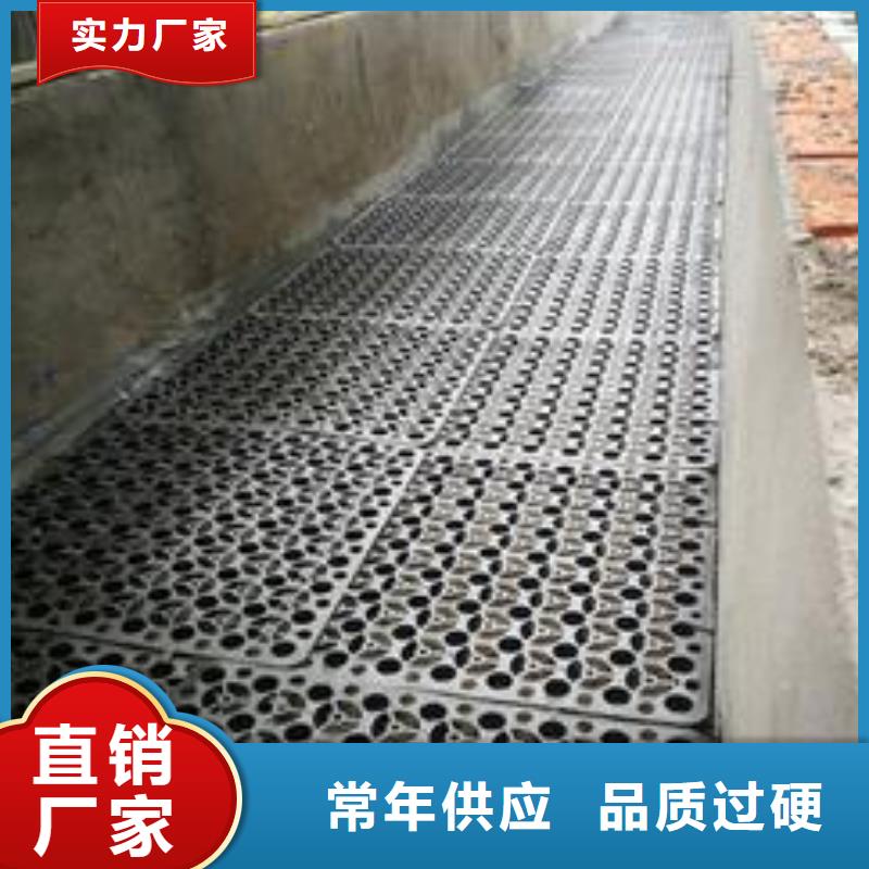 排水板系列实体大厂家