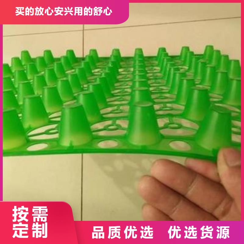 排水板系列质量优质的厂家