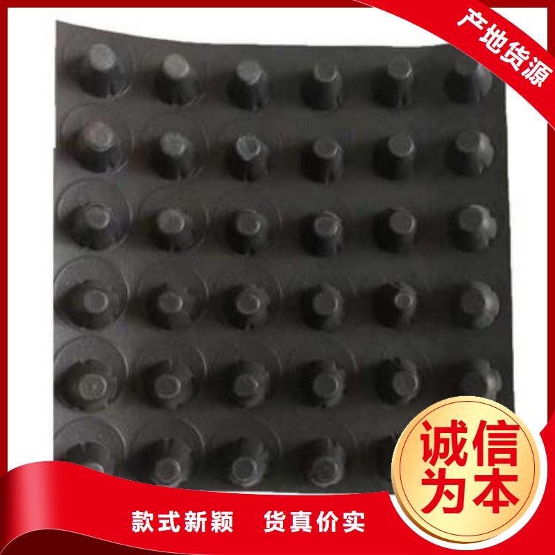排水板系列多种规格