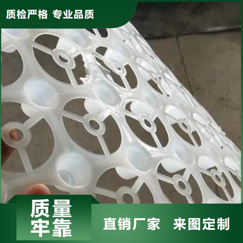 排水板系列-排水板系列质量好