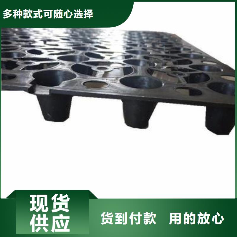 排水板系列-品质保障