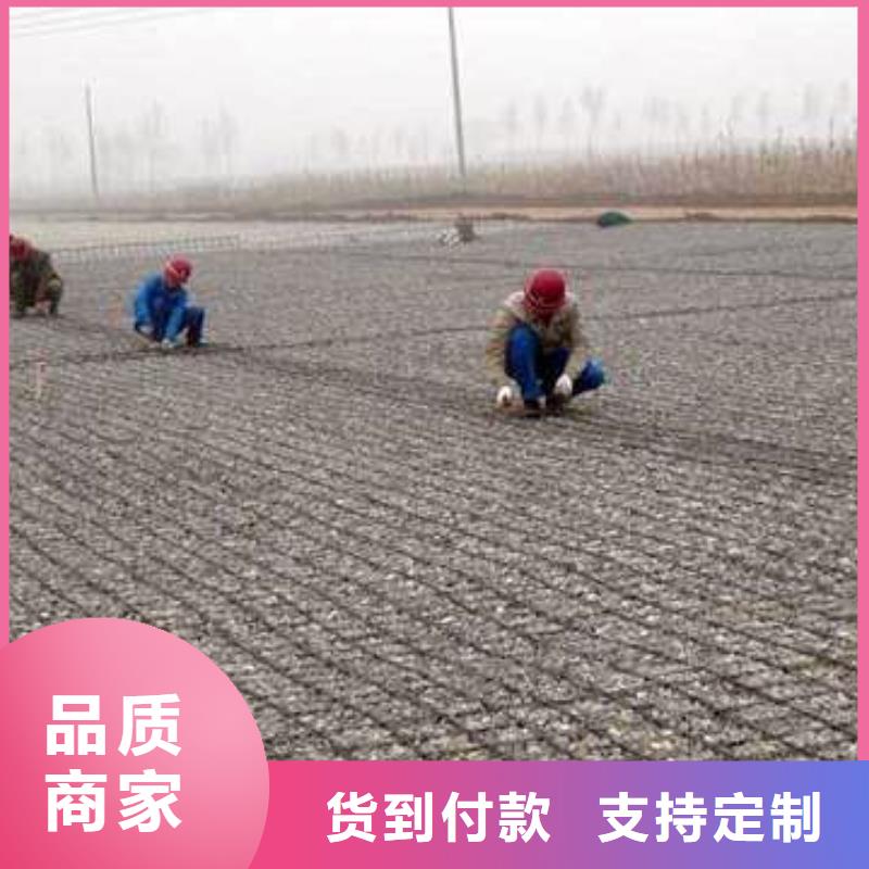 土工格栅系列、土工格栅系列厂家_规格齐全