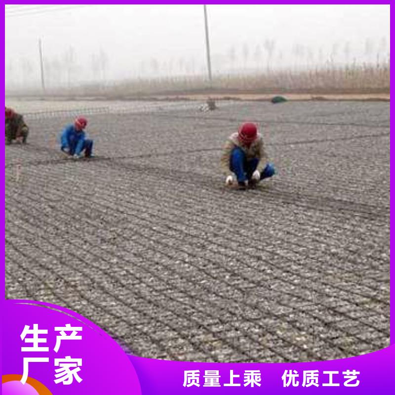 定制土工格栅系列