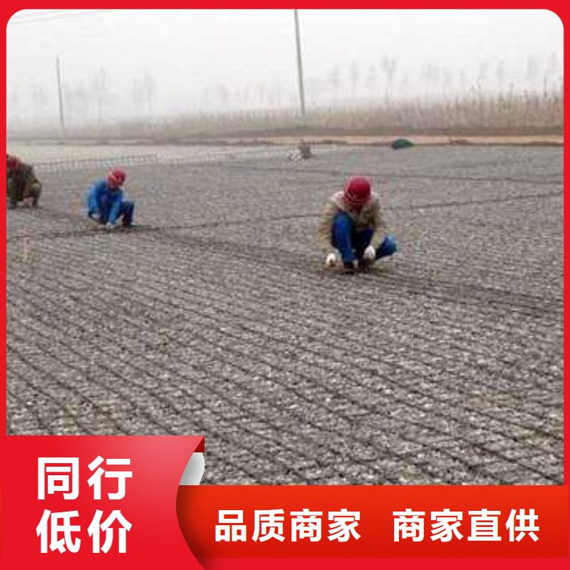 土工格栅系列、土工格栅系列厂家
