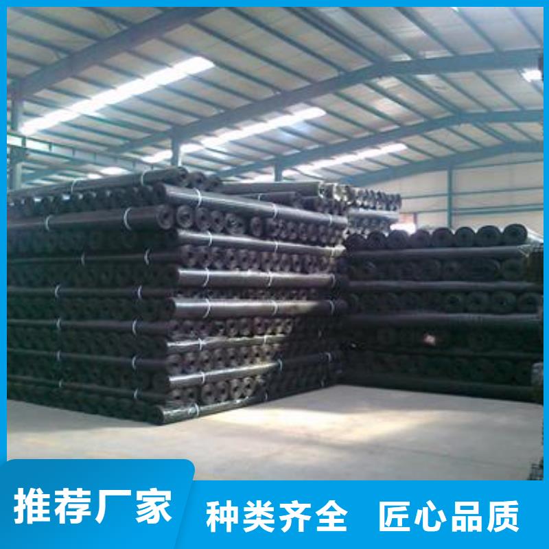 用户喜爱的土工格栅系列生产厂家