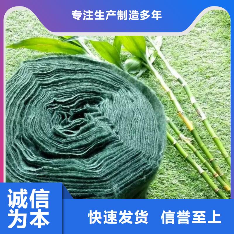 裹树布使用无忧