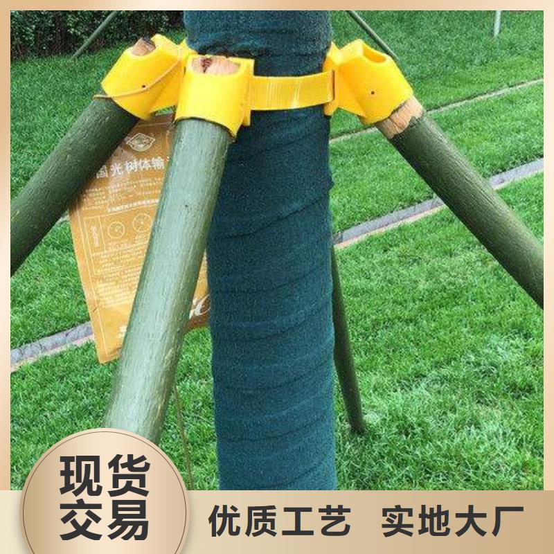现货供应裹树布_精选厂家