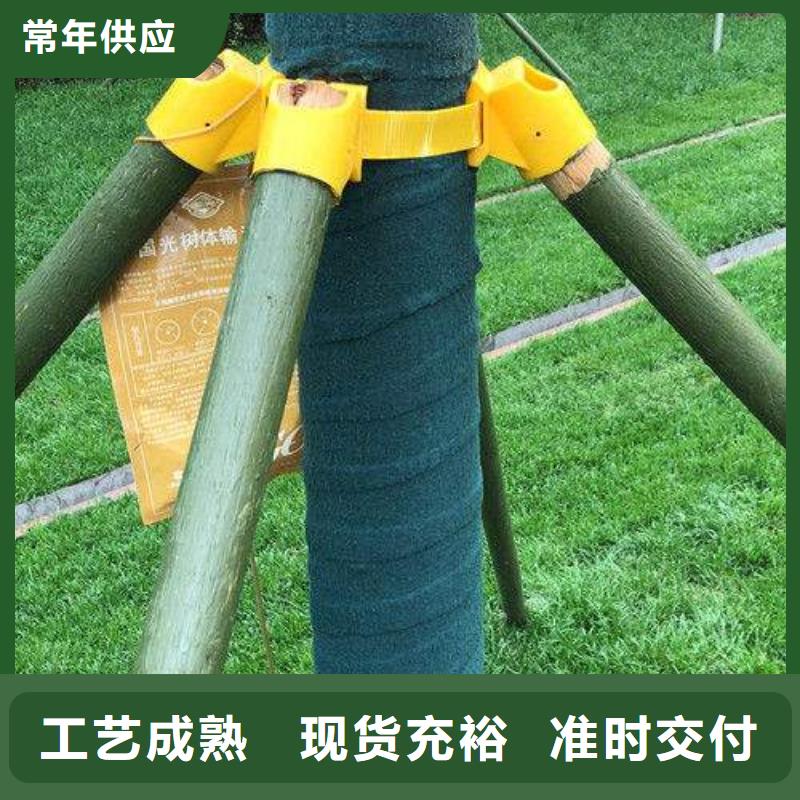 热销：裹树布厂家