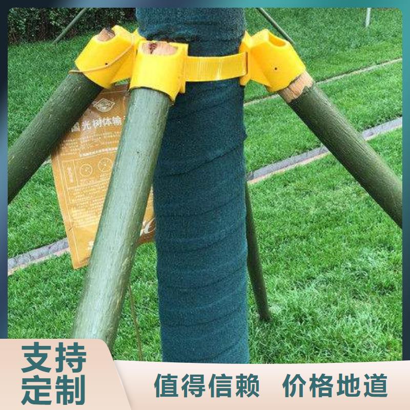 有现货的裹树布公司