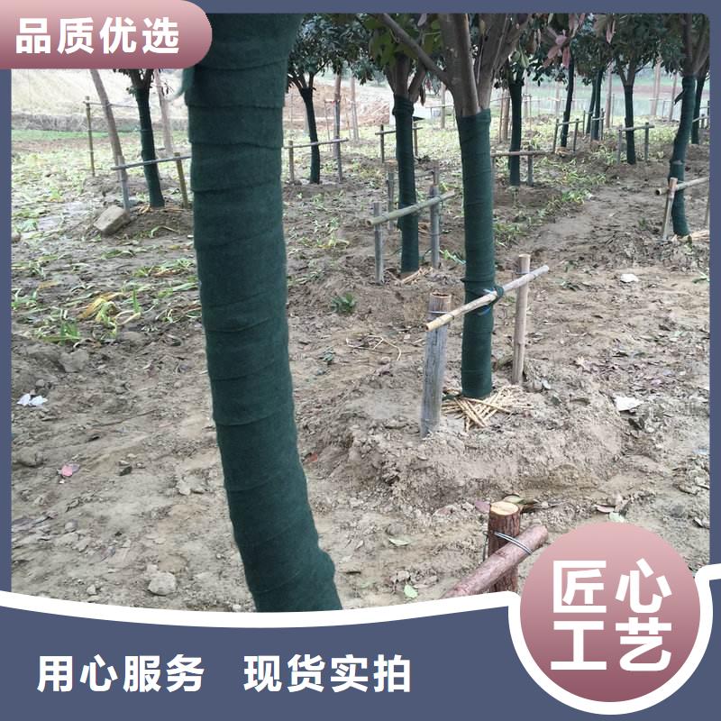 裹树布定制厂家