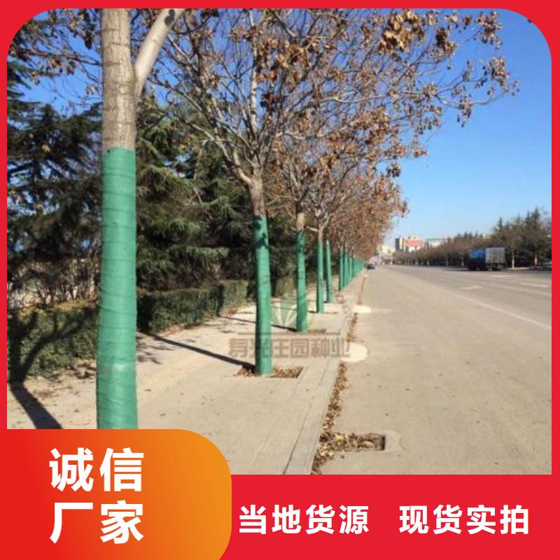 规格全的裹树布实体厂家