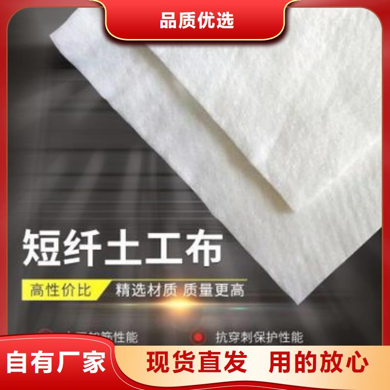 裹树布货到付款