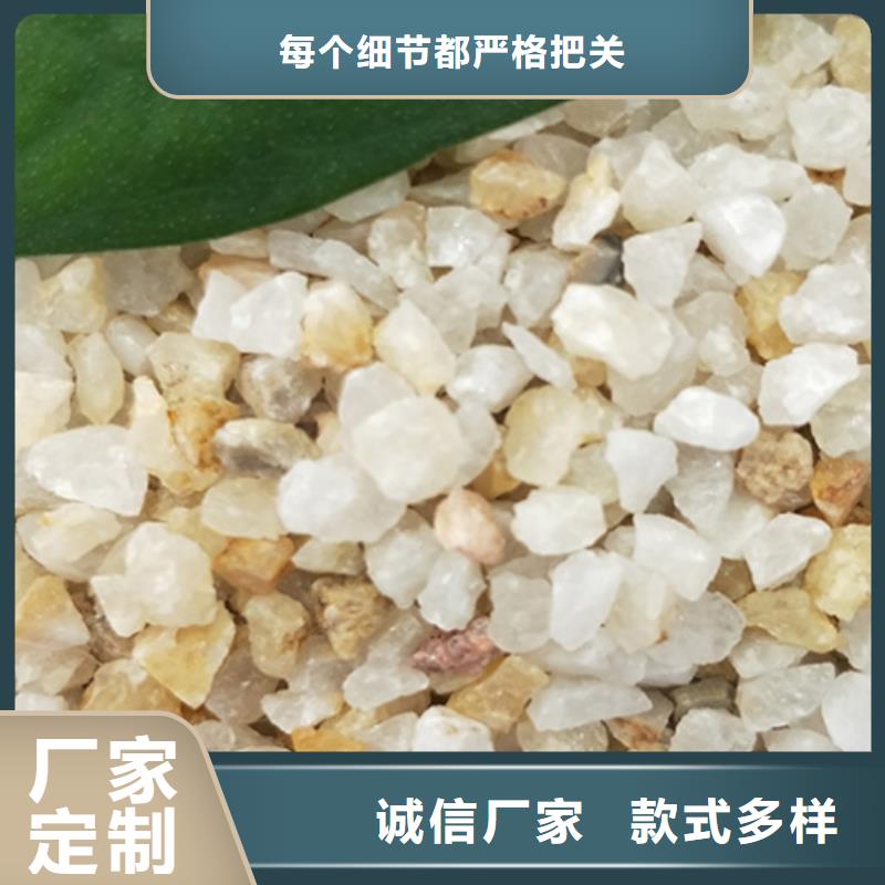 实力雄厚的滤料填料供货商