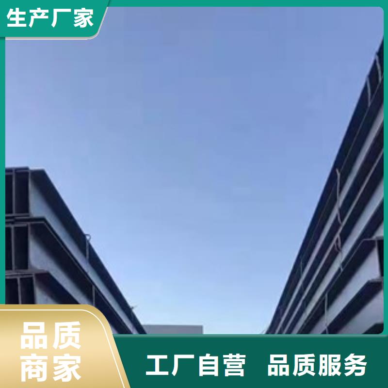 专业销售H型钢低合金H型钢