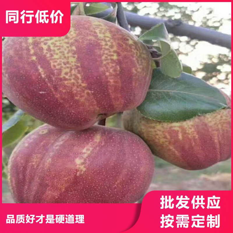 桃树苗物美价廉厂家
