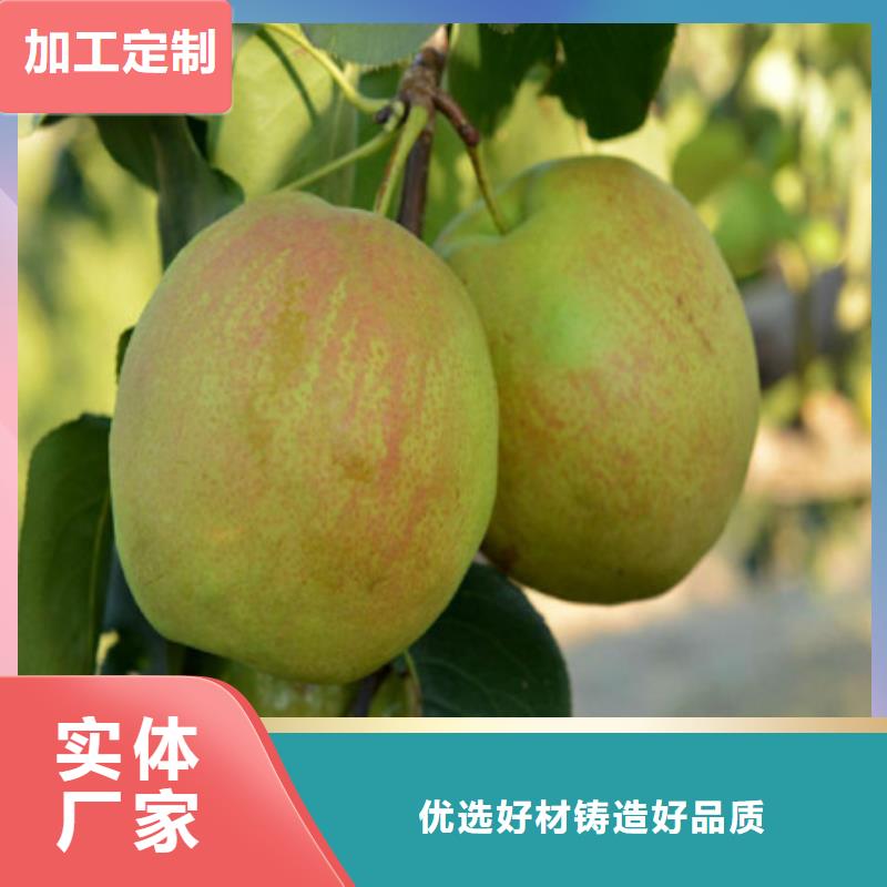 桃树苗能满足您的需求