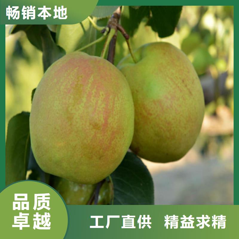桃树苗靠谱厂家