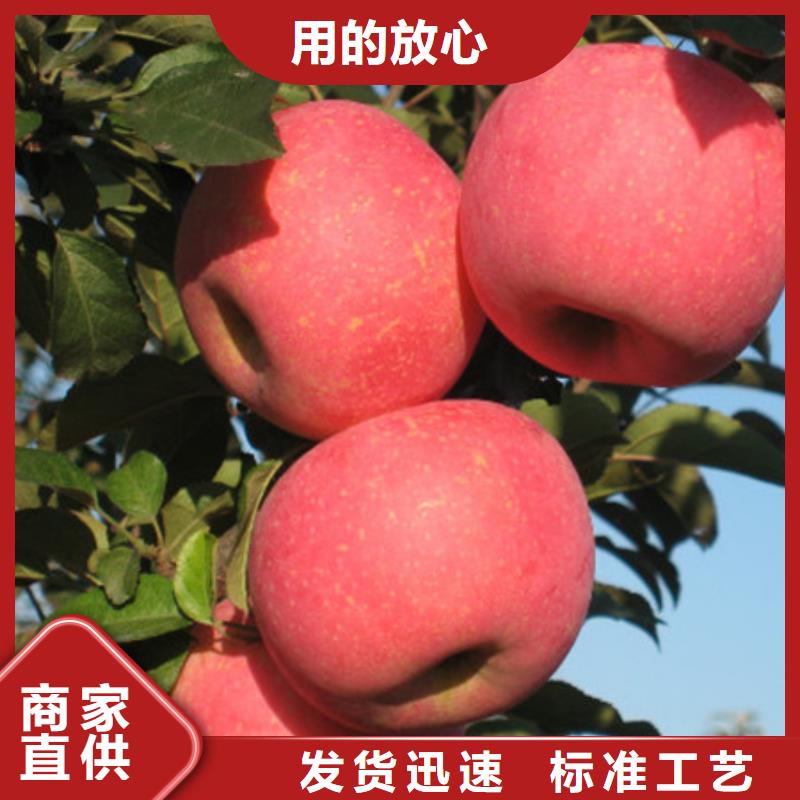 桃树苗_[盛鑫园艺场]