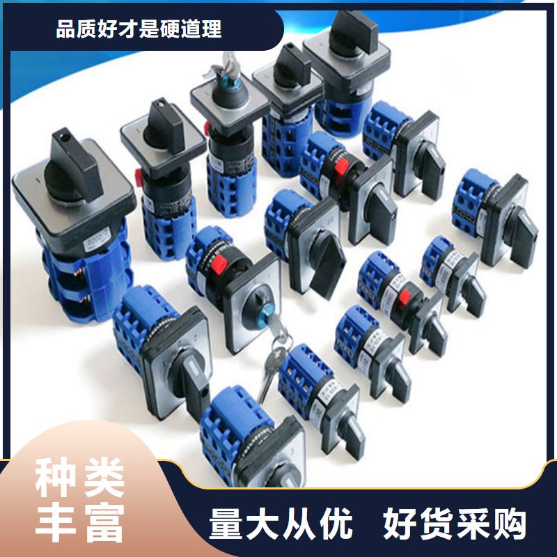 规格齐全的转换开关经销商