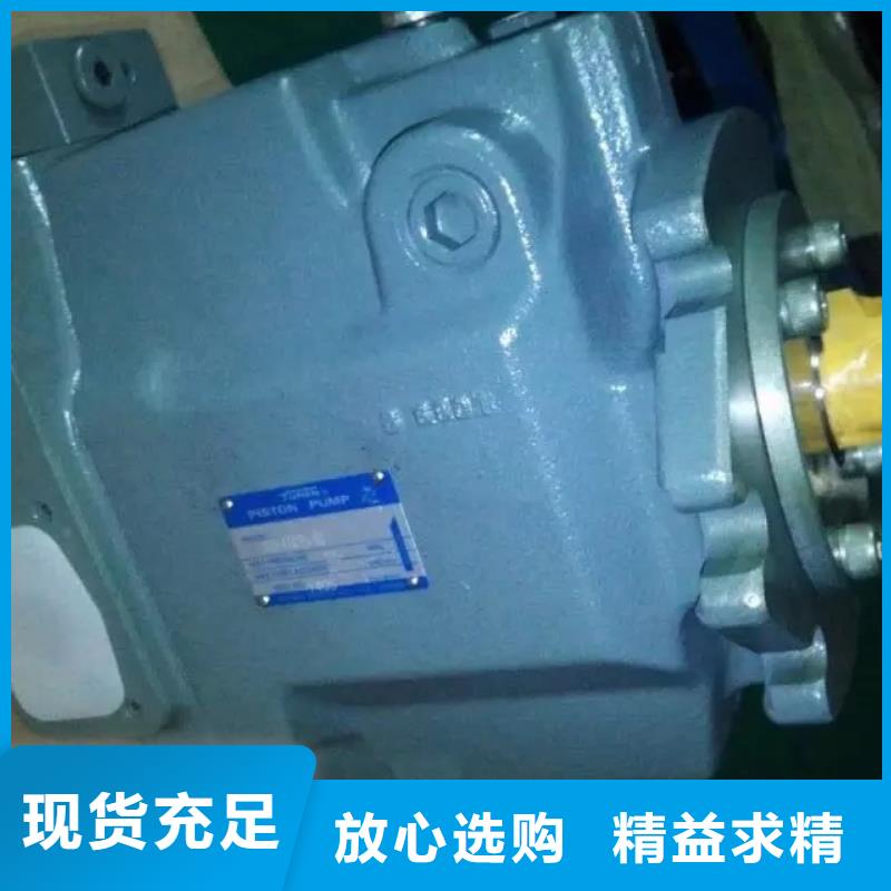批发柱塞泵_诚信厂家{当地}服务商