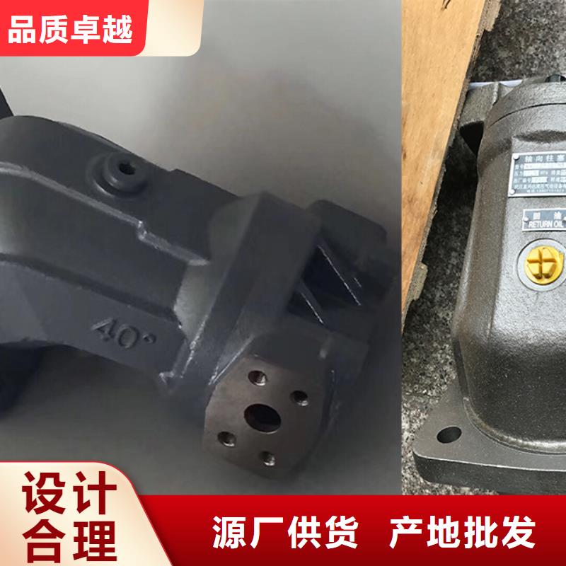 宁德油研A系列柱塞泵铸造金品