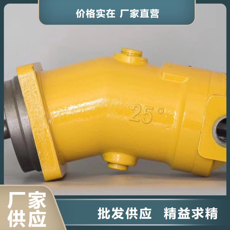 宁德油研A系列柱塞泵-供应厂家