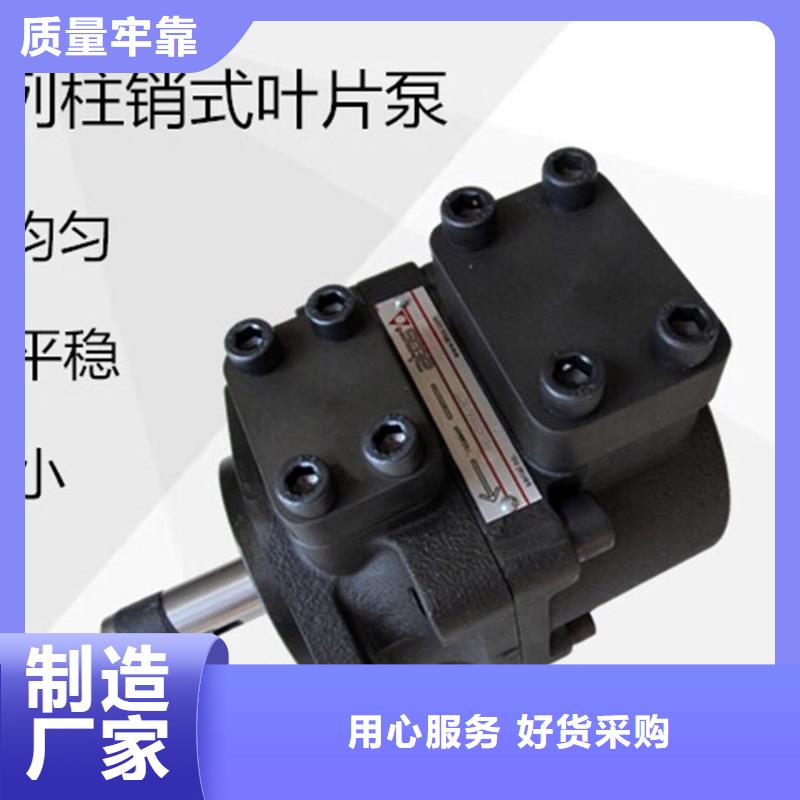叶片泵支持非标定制