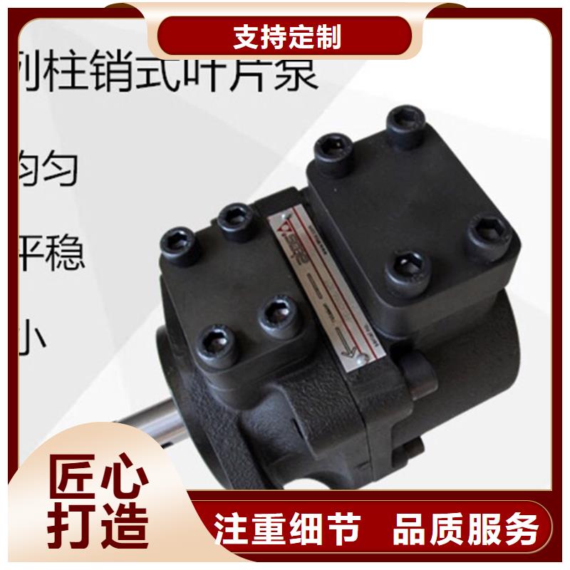 叶片泵-多年经验造就好品质