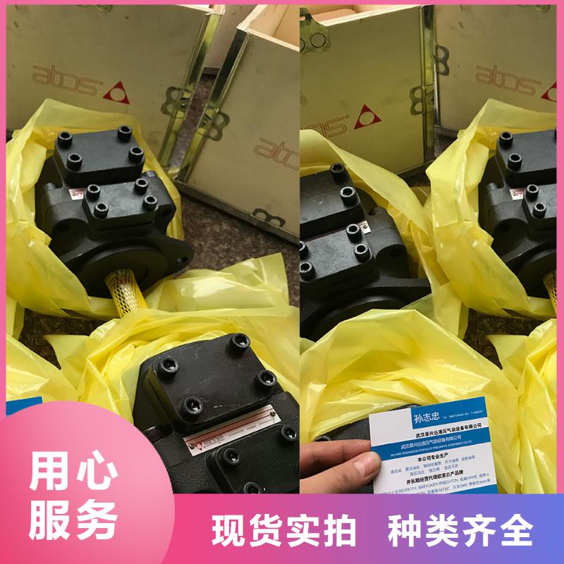 叶片泵