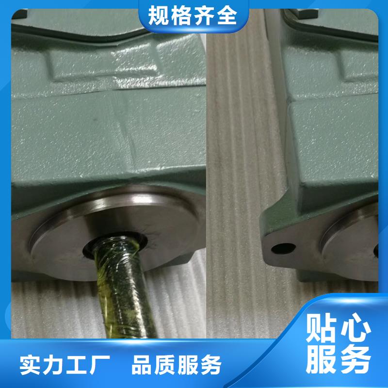 叶片泵厂家低价走货