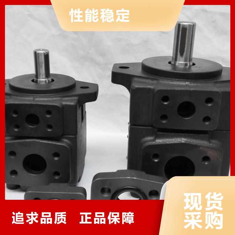 叶片泵-送货上门