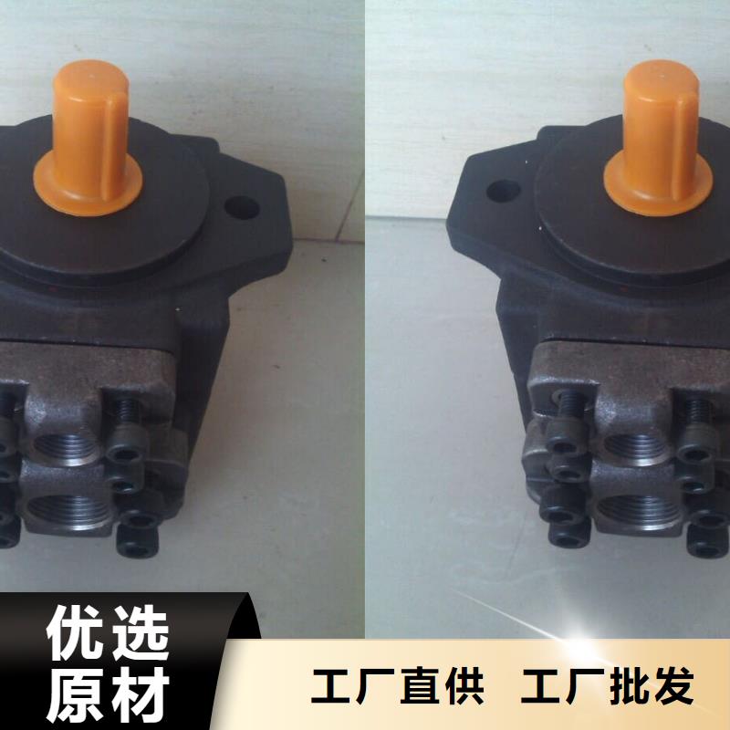 叶片泵厂家现货销售