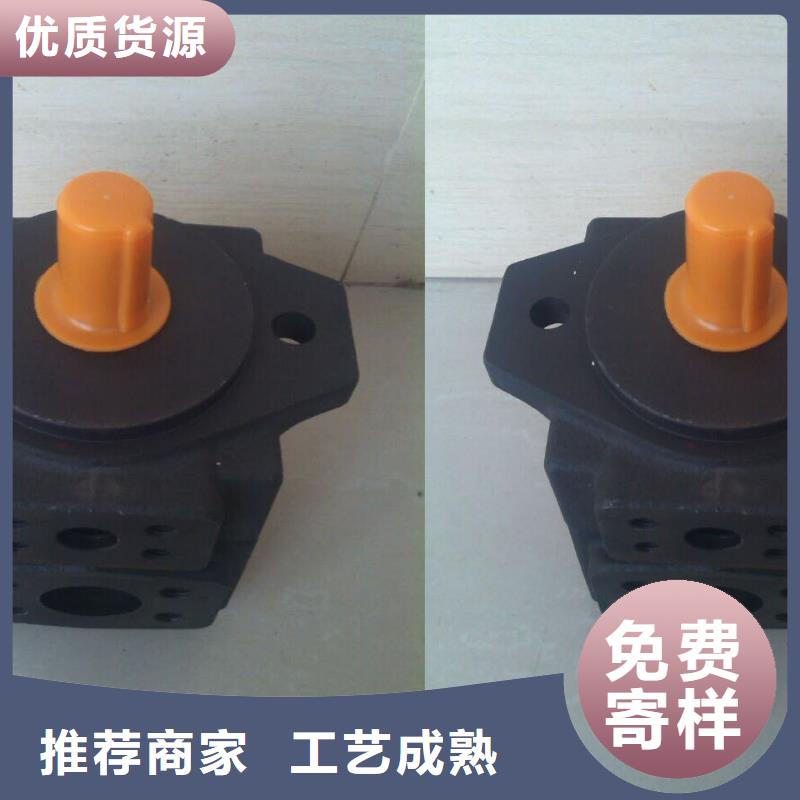 叶片泵-叶片泵出货快