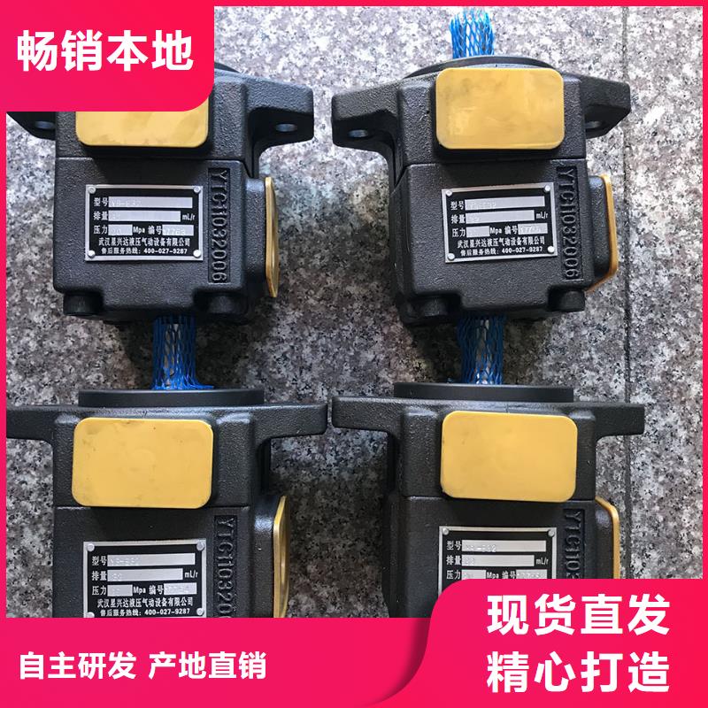 定做叶片泵的经销商