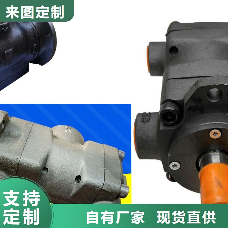 2025经验丰富#叶片泵定制#源头厂家