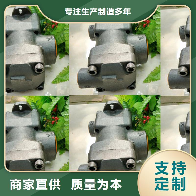 叶片泵现货直供