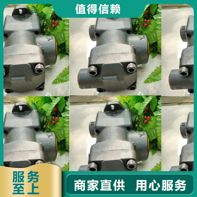 口碑好叶片泵厂家