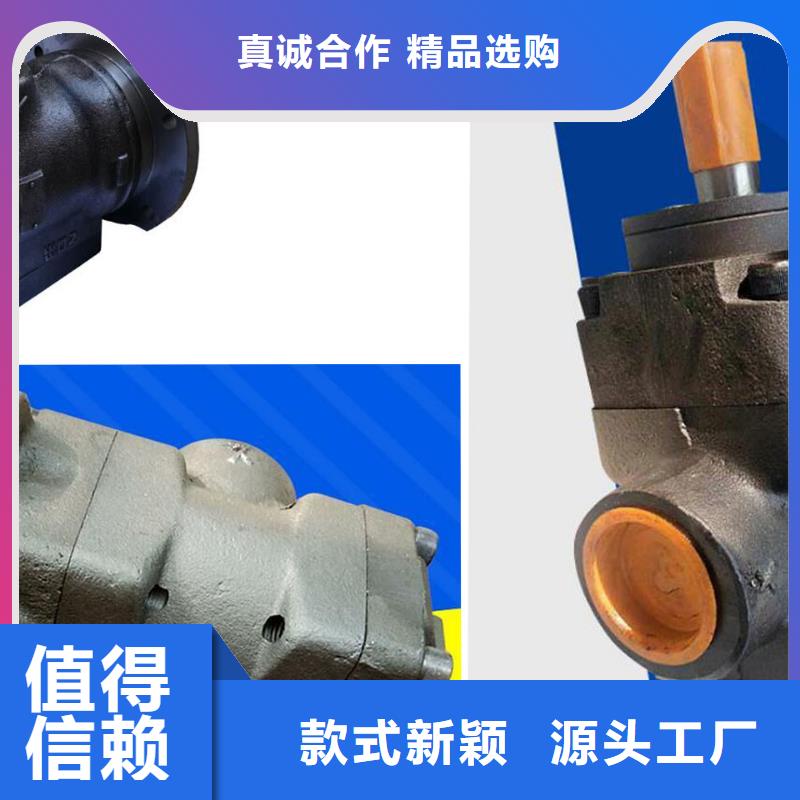 叶片泵现货直供