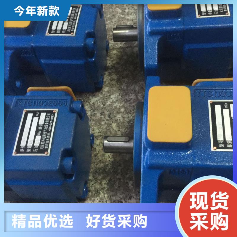 叶片泵厂家现货销售