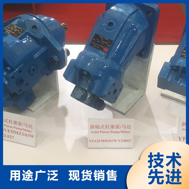 发货速度快的柱塞泵销售厂家