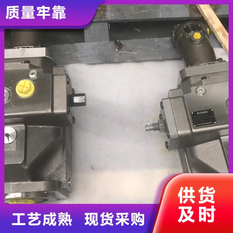 现货供应柱塞泵_精选厂家